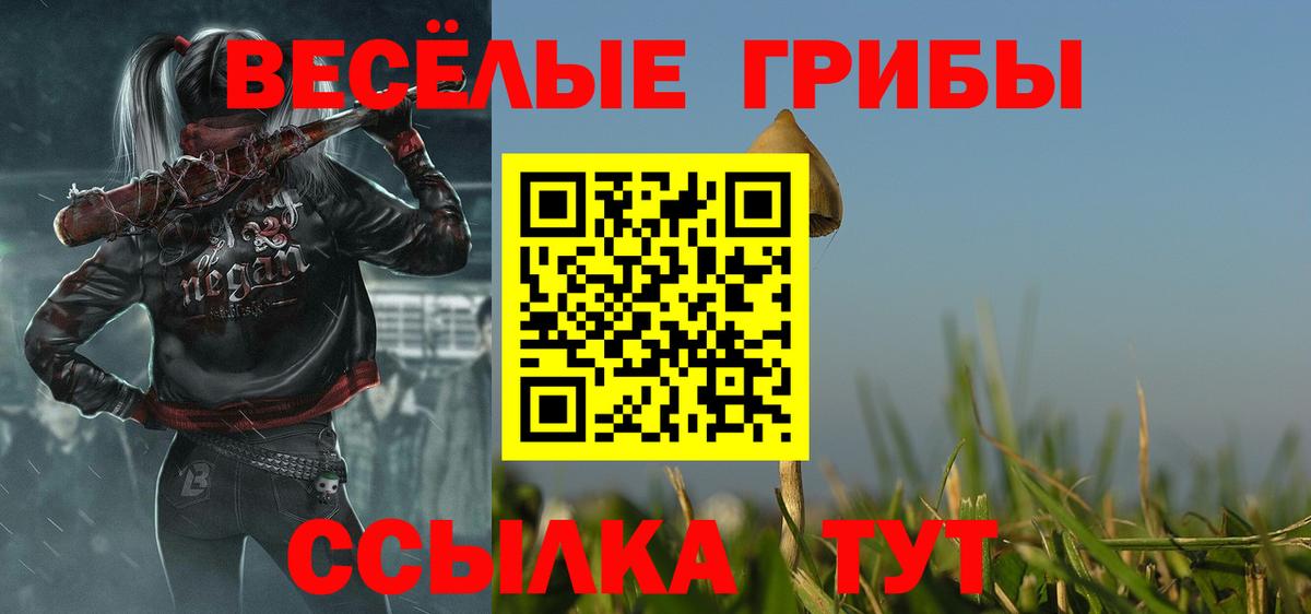 Галлюциногенные грибы GOLDEN TEACHER Краснознаменск