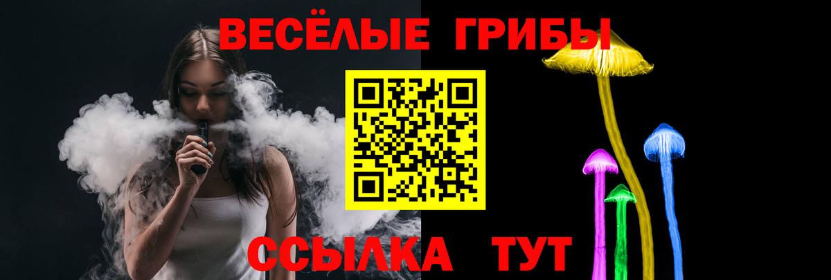 Краснознаменск  где купить наркоту  Вход с VPN  Галлюциногенные грибы Magic Shrooms 